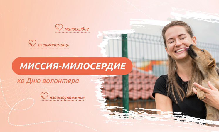 Внеурочное занятие "Разговоры о важном". Тема: Миссия-милосердие. Ко дню волонтера..